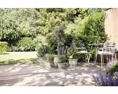 Jardin avec des plantes en pots sur une terrasse en bois et un coin salon
