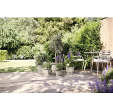 Aménagement paysager de jardin avec des plantes en pots sur une terrasse en bois et des meubles de jardin