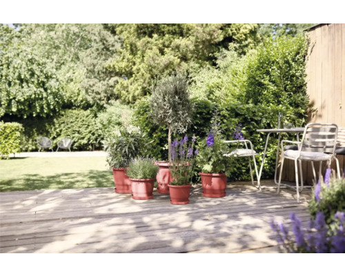 Gartenambiente mit Kübelpflanzen auf Holzterrasse und Sitzgruppe