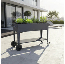 Jardinière surélevée en métal avec roulettes et étagère, plantée de salade et d'herbes aromatiques