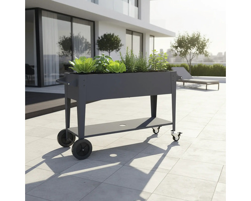 Jardinière surélevée en métal avec roulettes et étagère, plantée de salade et d'herbes aromatiques