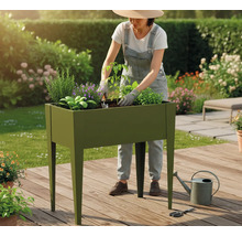 Frau bepflanzt Hochbeet im Garten mit diversen Kräutern und Pflanzen.