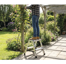 Homme debout sur un escabeau dans le jardin coupant des roses