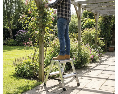 Homme debout sur un escabeau dans le jardin coupant des roses