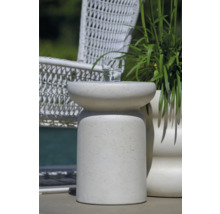 Table d'appoint décorative en pierre avec boisson et plante