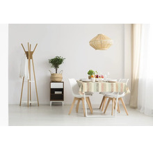 Salle à manger avec table, chaises, lampadaire, plante et commode