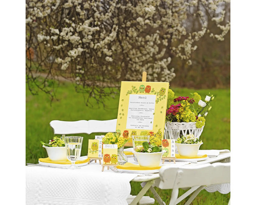 Gedeckter Gartentisch mit Menükarte, Blumen und Salatschalen für ein Buffet im Freien.