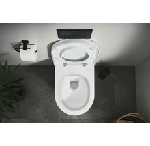 Vue de dessus de toilettes avec abattant ouvert, plaque de commande et support papier toilette