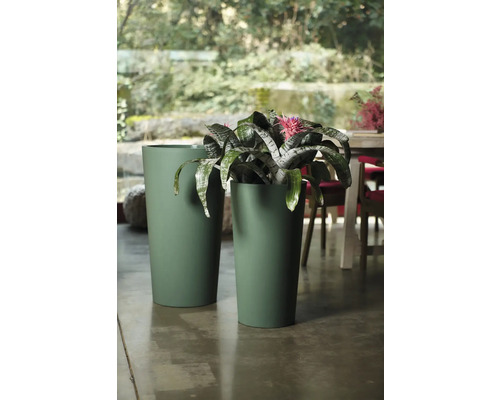 Deux pots de fleurs verts avec bromélia à l'intérieur.