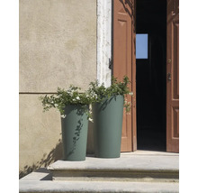 Deux bacs à plantes avec des plantes devant une porte ouverte