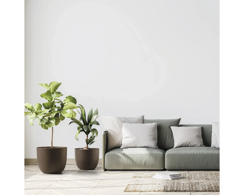 Helles Wohnzimmer mit Couch, Kissen und Pflanzen in Töpfen.