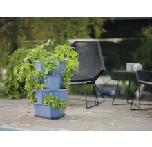 Tour de plantation à trois niveaux avec des plants de pommes de terre sur la terrasse