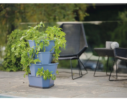 Tour de plantation à trois niveaux avec des plants de pommes de terre sur la terrasse