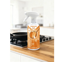 Fettlöser in Sprühflasche