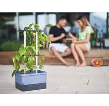 Jardinière avec treillis et plante potagère sur terrasse avec un couple