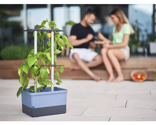 Jardinière avec treillis et plante potagère sur terrasse avec un couple