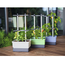 Trois jardinières colorées avec supports pour plantes et légumes en croissance sur une terrasse en bois.