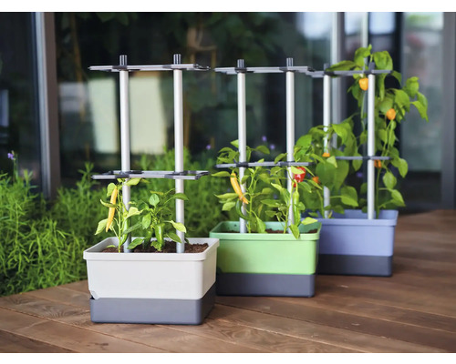 Trois jardinières colorées avec supports pour plantes et légumes en croissance sur une terrasse en bois.