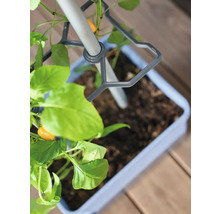 Bac à plantes avec support d'escalade et plante