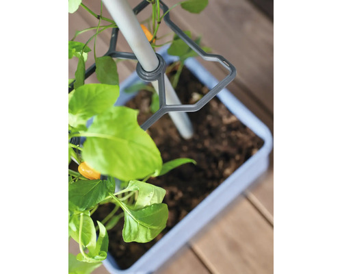 Bac à plantes avec support d'escalade et plante