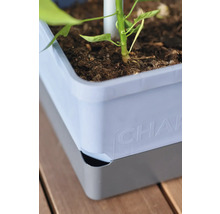 Gros plan d'un bac à plantes avec plante et terre
