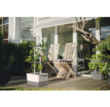 Jardin avec jardinière avec support d'escalade et sièges