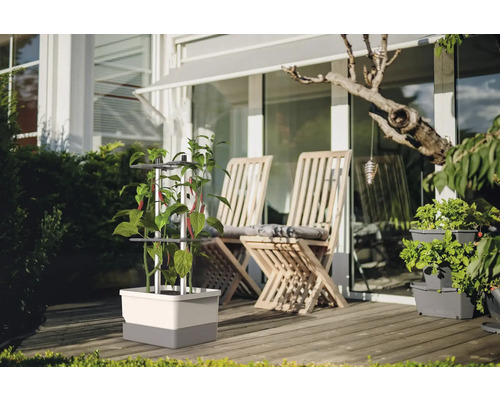 Jardin avec jardinière avec support d'escalade et sièges