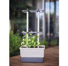 Pot de fleurs avec treillis pour plantes