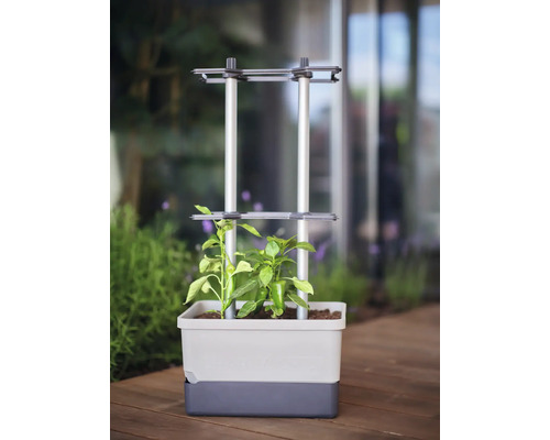 Pot de fleurs avec treillis pour plantes