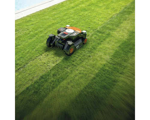 Ein Rasenmähroboter mäht einen Rasen.