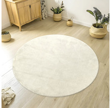 Tapis rond sur plancher en bois dans une pièce avec commode et plantes.