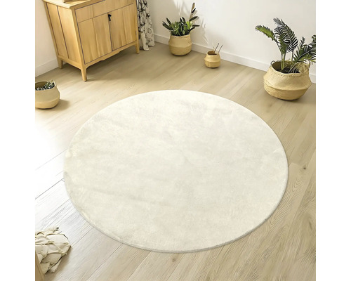 Tapis rond sur plancher en bois dans une pièce avec commode et plantes.