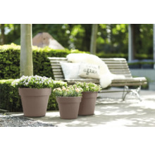 Drei Pflanzkübel mit Bepflanzung im Garten