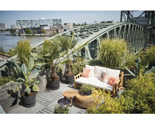 Terrasse de toit avec plancher en bois, canapé, table basse et pots de plantes sous un pont en acier