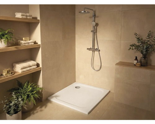 Douche à l'italienne avec pomme de douche et receveur dans une salle de bains avec étagères et plantes.