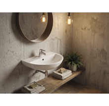 Salle de bain avec lavabo, miroir et éléments décoratifs sur une étagère en bois.