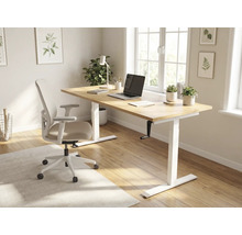 Bureau avec bureau réglable en hauteur, chaise de bureau et plantes d'intérieur