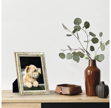 Scène décorative avec cadre photo, vase avec eucalyptus et plateau de rangement en cuir sur une table