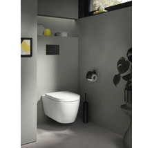 Salle de bains moderne avec WC suspendu, plaque de commande, porte-papier toilette et plante d'intérieur