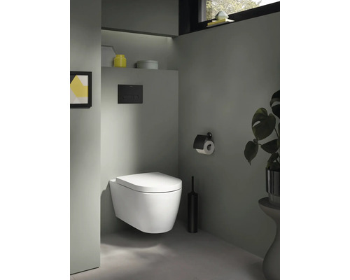 Salle de bains moderne avec WC suspendu, plaque de commande, porte-papier toilette et plante d'intérieur