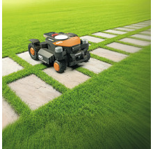 Ein Rasenmähroboter auf einem Rasen