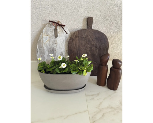 Ecopots Pflanzschale mit Untersetzer und Blumen auf einer Arbeitsplatte neben Schneidebrettern und Gewürzmühlen.