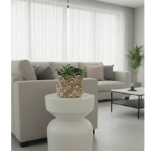 Salon avec canapé, table et plante en pot