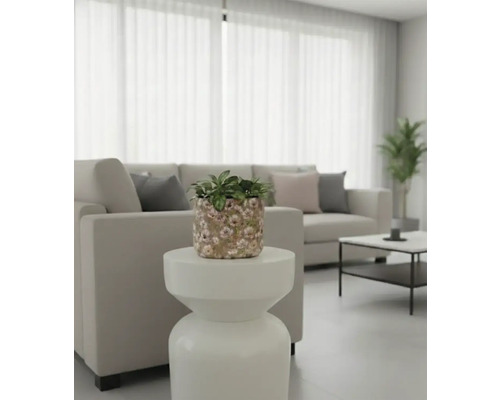 Salon avec canapé, table et plante en pot