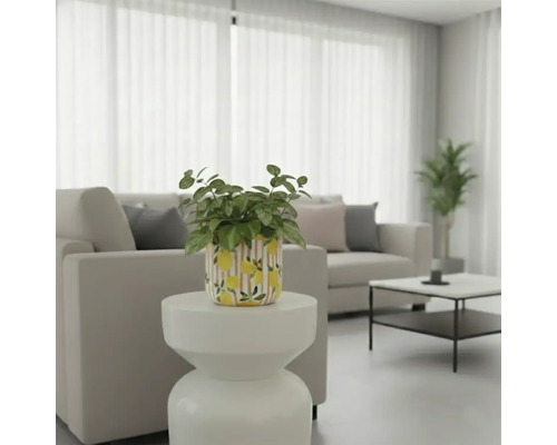 Scène de salon lumineuse avec plante dans un pot à motif citron sur une table d'appoint