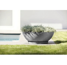Grande coupe à plantes ronde avec soucoupe assortie sur une terrasse à côté d'une pelouse et d'une piscine.