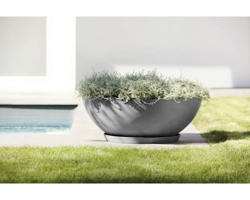 Grande coupe à plantes ronde avec soucoupe assortie sur une terrasse à côté d'une pelouse et d'une piscine.