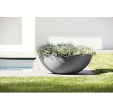 Coupe à plantes moderne en forme de demi-sphère avec des plantes argentées sur une terrasse à côté d'une pelouse et d'une piscine.