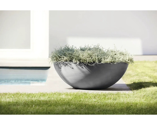Coupe à plantes moderne en forme de demi-sphère avec des plantes argentées sur une terrasse à côté d'une pelouse et d'une piscine.