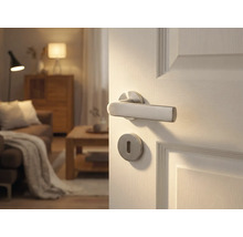 Geöffnete Tür mit modernem Türdrücker und Rosette